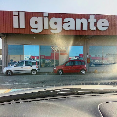 Grandi Magazzini e Supermercati Il Gigante S.p.A.
