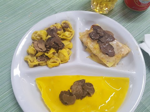 Sagra del Tartufo bianco (Tuber Magnatum Pico)