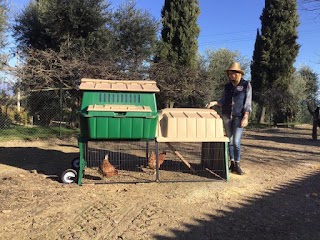 Norvet Service - Pollaio Hampel