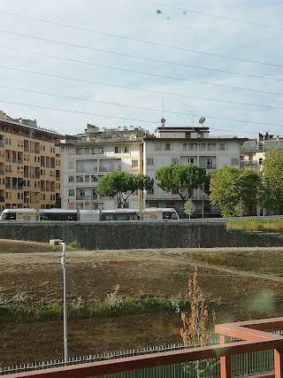 Scuola Media P. Calamandrei