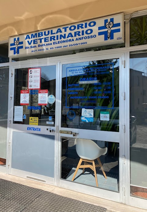 Ambulatorio Veterinario del Neirone di Dott.ssa Anfosso e Dott. Delesalle