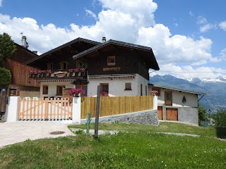 Location appartement en chalet à Montchavin la plagne été et hiver