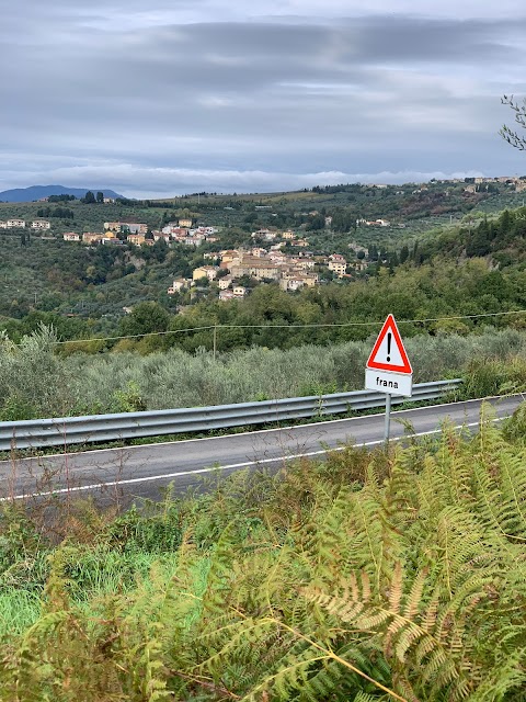 FATTORIA DI CATICCIANO