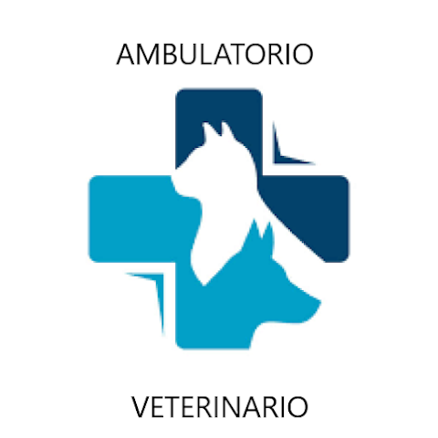 Zorzi Dr. Aleardo Ambulatorio Veterinario