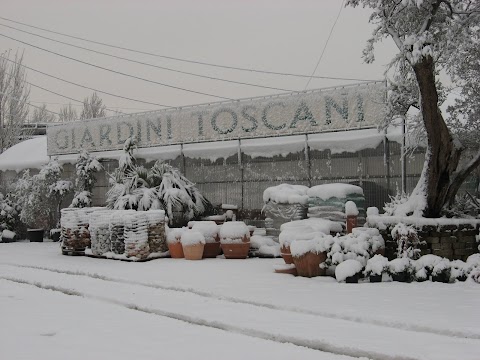 GIARDINI TOSCANI - fioraio, piante e fiori per cerimonie e matrimoni, vivaio