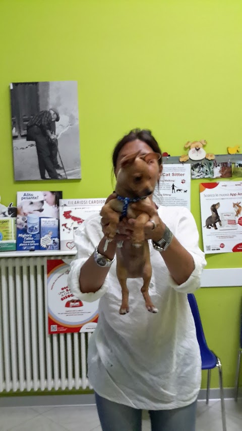 Clinica Veterinaria Bagsy