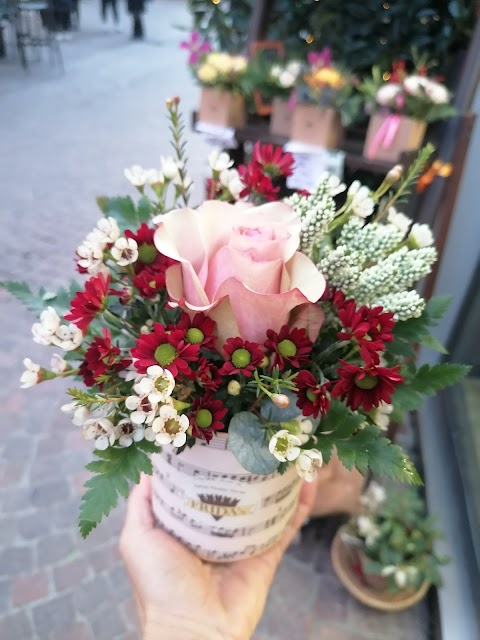 Frida's Pontedera | Italian Flower Stores