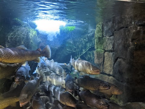 Acquario Civico e Stazione Idrobiologica di Milano