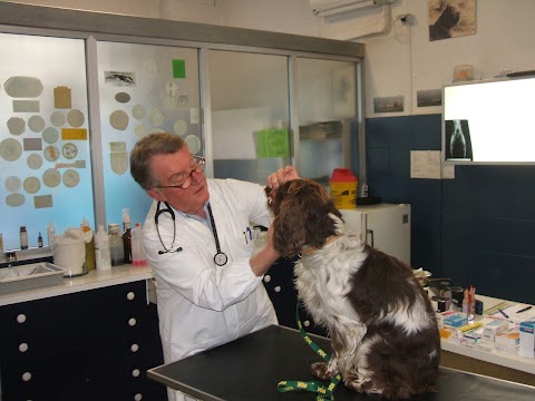 studio veterinario Dr. Marco Boccetti