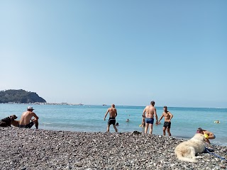 Spiaggia per cani