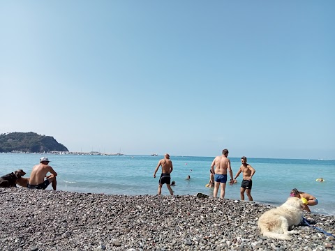 Spiaggia per cani