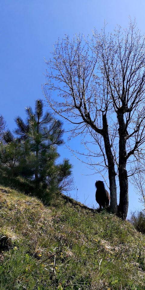 Agriturismo del Cimone La Palazza