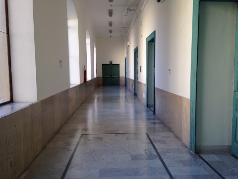 Università degli Studi della Campania "Luigi Vanvitelli" - Dipartimento di Giurisprudenza