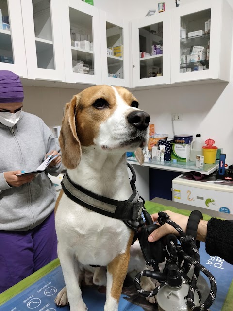 Veterinario Papagni Dr. Gennaro