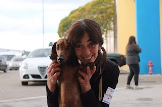 Allevamento Wiener Dog di Miss. Vilmix Spock