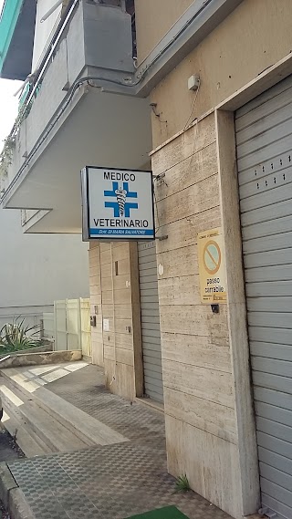 Pegaso Centro Veterinario