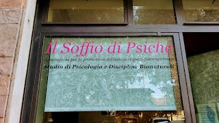 Dr.ssa Valentina Cangi - "Il Soffio di Psiche" - Psicologia Olistica - Meditazione - Reiki - Pratiche di Risveglio Spirituale