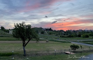 Agriturismo “Veritas” Bed & Wine