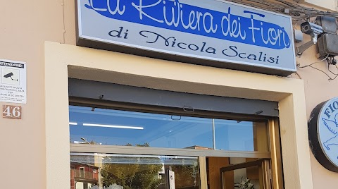 la Riviera Dei fiori di Nicola Scalisi