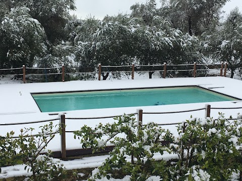 fast&pool piscine rigide fuori terra e interrate, realizzazione e montaggio piscine - Brindisi - Puglia