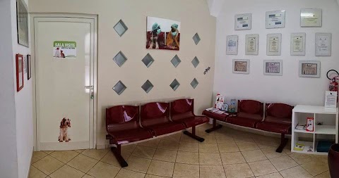 Clinica Veterinaria di Santantonio Carla s.n.c