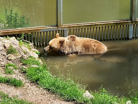 Zoo di Lubiana