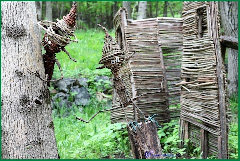 Bosco magico di Dazio