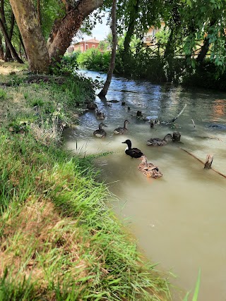 Parco del Tione