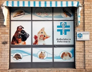 Clinica Veterinaria dott. Casamassima Giuseppe