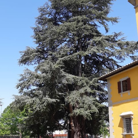 Villa Pecori Giraldi: Info Point e Chini Museo APERTI / Museo dei Bambini CHIUSO