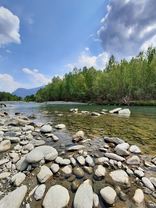 Parco della Bosca