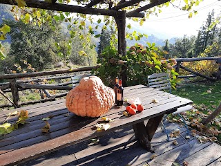 Agriturismo Le Panche di Massimo Domini