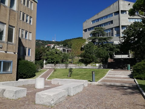 Università degli Studi di Trieste