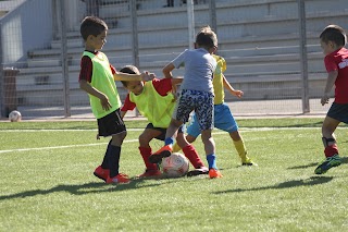 Centro Sportivo "Pasqualino Stadium"