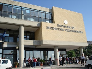 Università degli studi di Messina - Dipartimento di Scienze Veterinarie