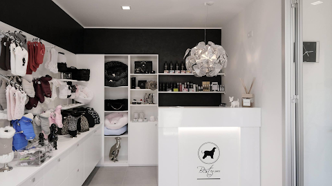 Spa & boutique for dogs
