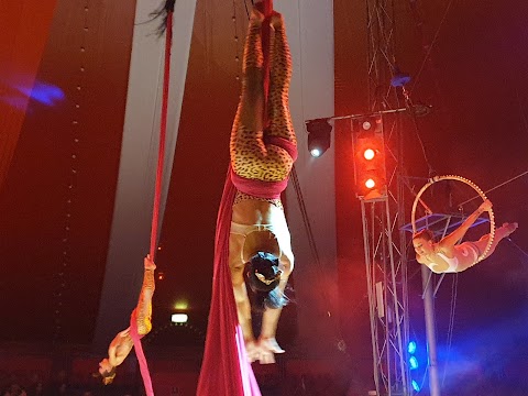 CIRCO MILLENNIUM