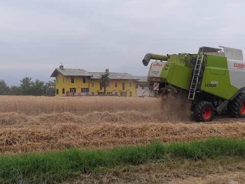 Azienda Agricola La Canarina