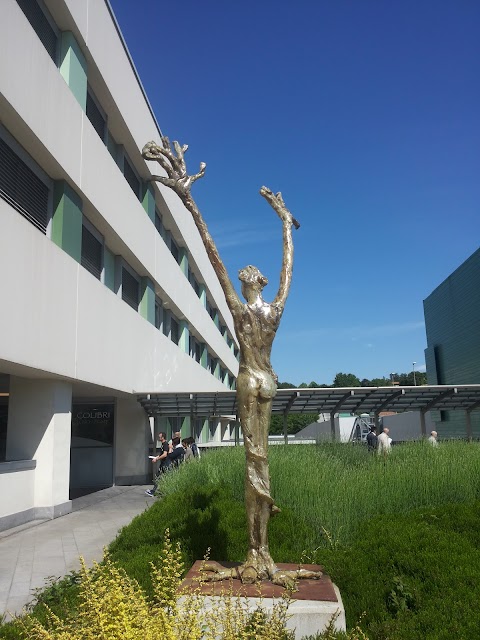 Ospedale Sant'Anna - San Fermo della Battaglia (CO)