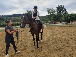 Candeliria Equestrian center