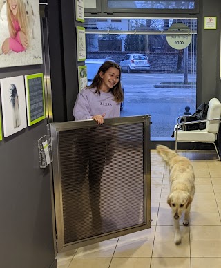 Wash Dog Cervia Lavaggio Cani Toelettatura e servizio a domicilio