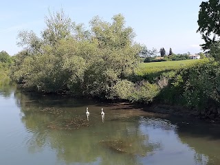 Viaggi Bolgia Trento