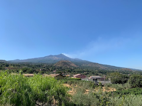 Il Gelso Di Dietroserra