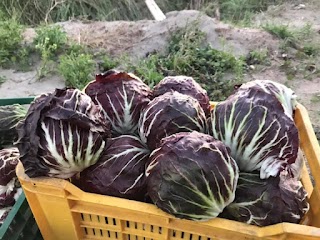 Cia Agricoltori Italiani Chioggia