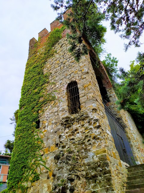 Teatro Romano di Trieste