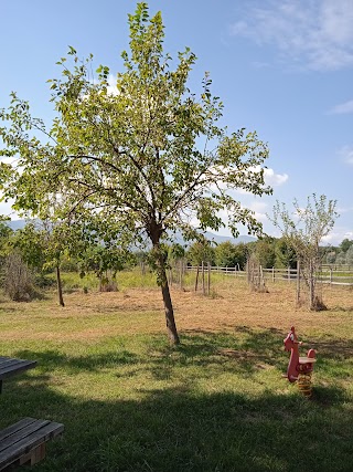 Giardini Pubblici Con Giochi