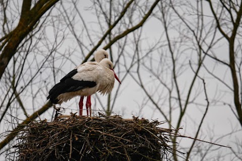 Parco Cascina Venara