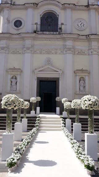 Fiori Di Settembre