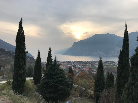 Taxitransferservice di Stefano Delaini