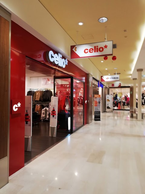 Celio Vigevano